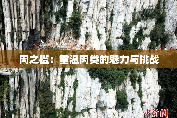 肉之槛：重温肉类的魅力与挑战