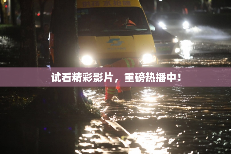 试看精彩影片，重磅热播中！