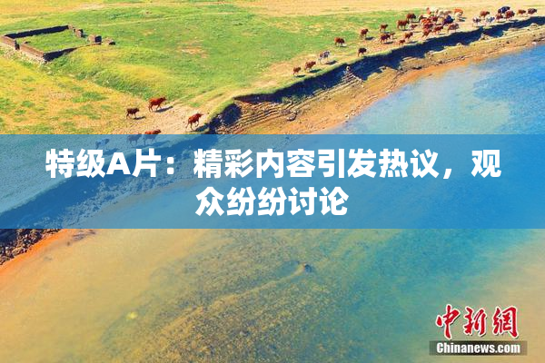 特级A片：精彩内容引发热议，观众纷纷讨论