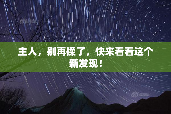 主人，别再揉了，快来看看这个新发现！