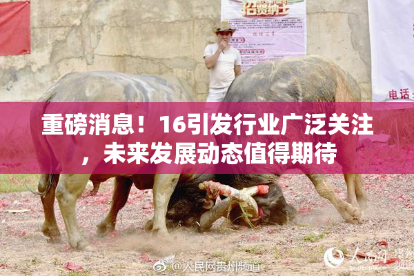 重磅消息！16引发行业广泛关注，未来发展动态值得期待
