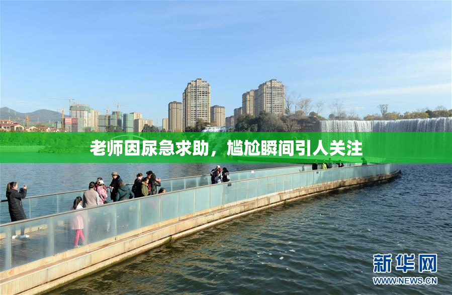 老师因尿急求助，尴尬瞬间引人关注