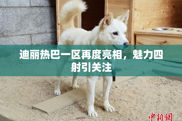 迪丽热巴一区再度亮相，魅力四射引关注