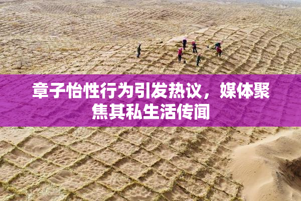 章子怡性行为引发热议，媒体聚焦其私生活传闻