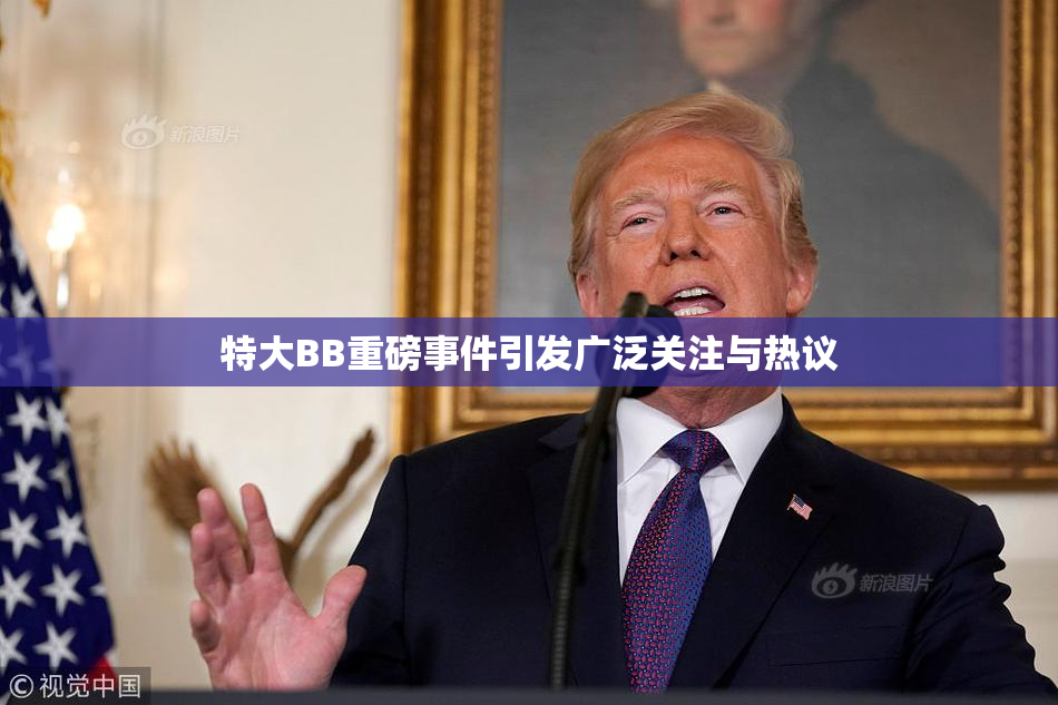 特大BB重磅事件引发广泛关注与热议