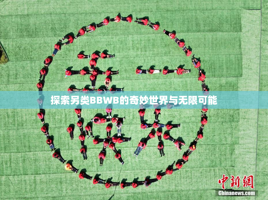 探索另类BBWB的奇妙世界与无限可能