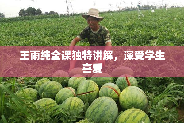 王雨纯全课独特讲解，深受学生喜爱