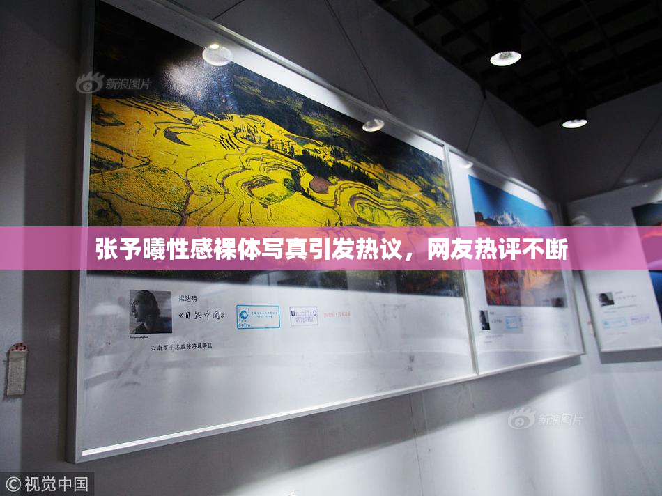 张予曦性感裸体写真引发热议，网友热评不断