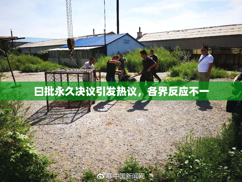 曰批永久决议引发热议，各界反应不一