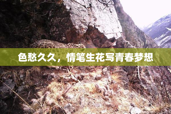 色愁久久，情笔生花写青春梦想