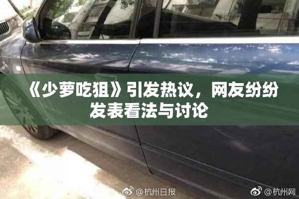 《少萝吃狙》引发热议，网友纷纷发表看法与讨论