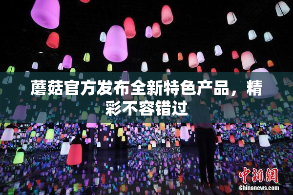 蘑菇官方发布全新特色产品，精彩不容错过