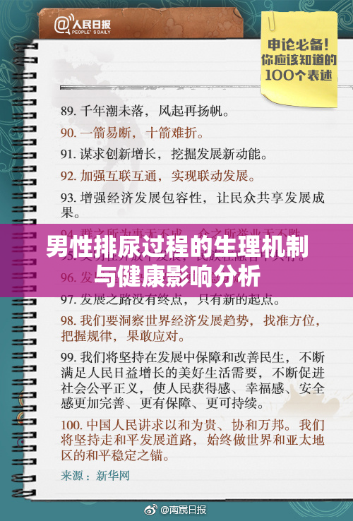 男性排尿过程的生理机制与健康影响分析