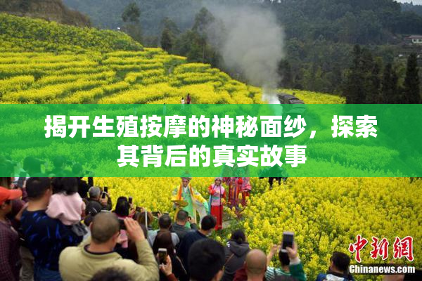 揭开生殖按摩的神秘面纱，探索其背后的真实故事