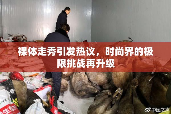 裸体走秀引发热议，时尚界的极限挑战再升级