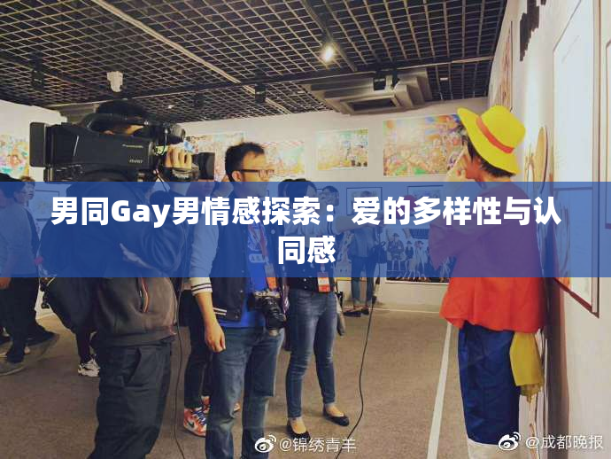 男同Gay男情感探索：爱的多样性与认同感