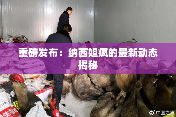 重磅发布：纳西妲疯的最新动态揭秘