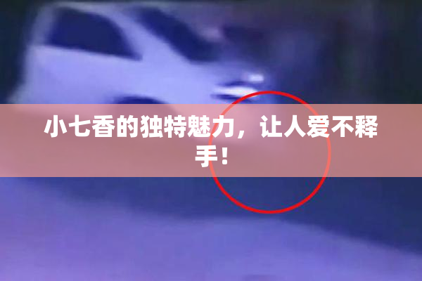 小七香的独特魅力，让人爱不释手！