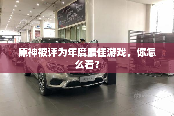 原神被评为年度最佳游戏，你怎么看？