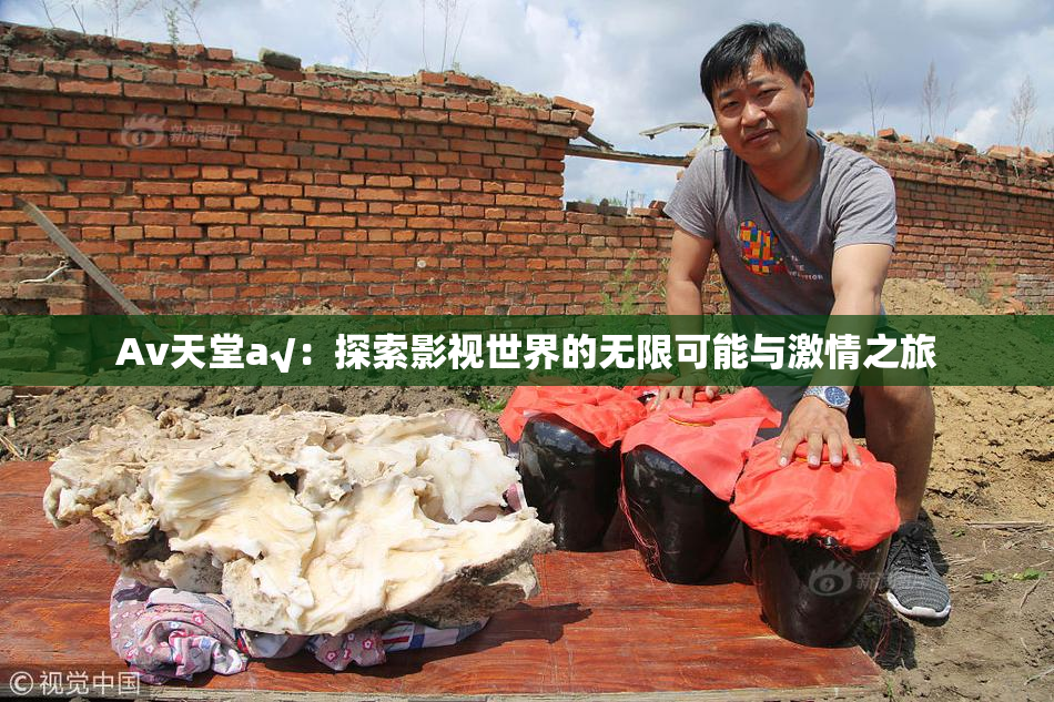 Av天堂a√：探索影视世界的无限可能与激情之旅