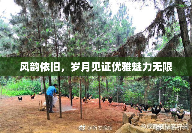 风韵依旧，岁月见证优雅魅力无限