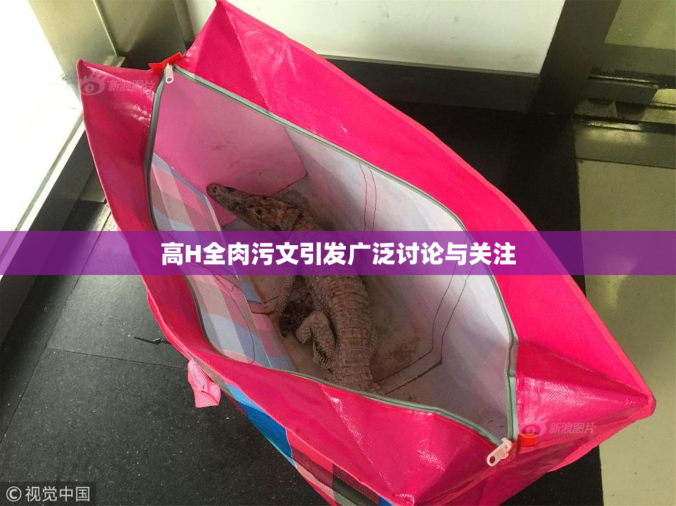 高H全肉污文引发广泛讨论与关注