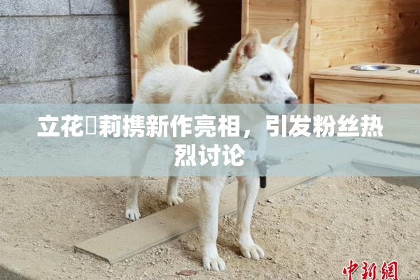 立花瑠莉携新作亮相，引发粉丝热烈讨论