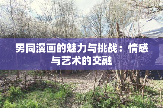 男同漫画的魅力与挑战：情感与艺术的交融