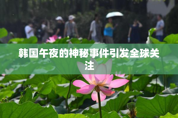 韩国午夜的神秘事件引发全球关注