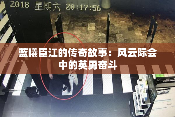 蓝曦臣江的传奇故事：风云际会中的英勇奋斗