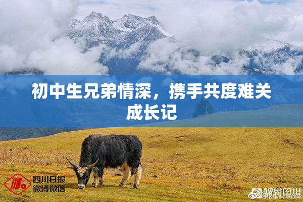 初中生兄弟情深，携手共度难关成长记