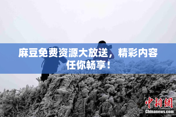 麻豆免费资源大放送，精彩内容任你畅享！