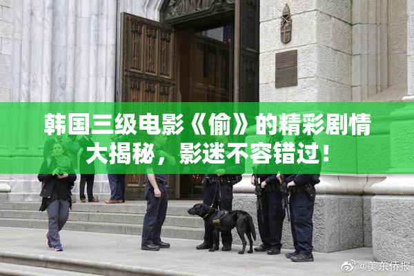 韩国三级电影《偷》的精彩剧情大揭秘，影迷不容错过！