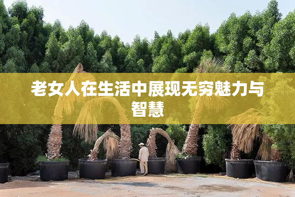 老女人在生活中展现无穷魅力与智慧