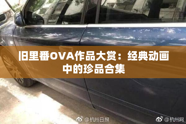 旧里番OVA作品大赏：经典动画中的珍品合集