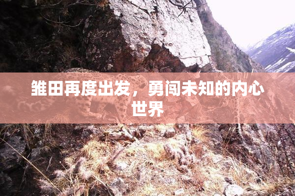 雏田再度出发，勇闯未知的内心世界