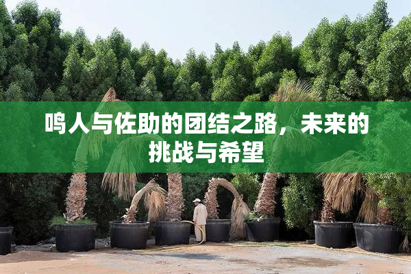 鸣人与佐助的团结之路，未来的挑战与希望