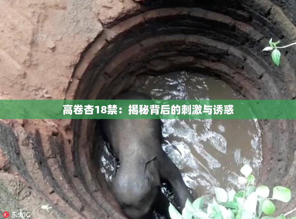 高卷杏18禁：揭秘背后的刺激与诱惑