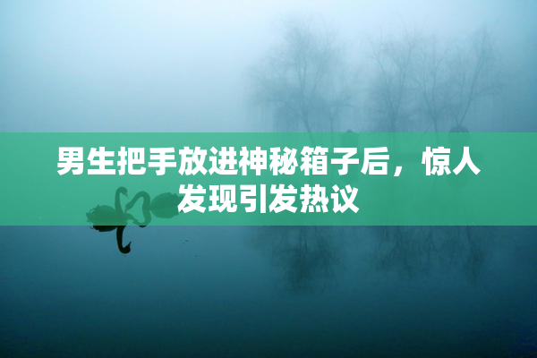 男生把手放进神秘箱子后，惊人发现引发热议