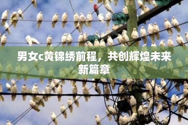 男女c黄锦绣前程，共创辉煌未来新篇章