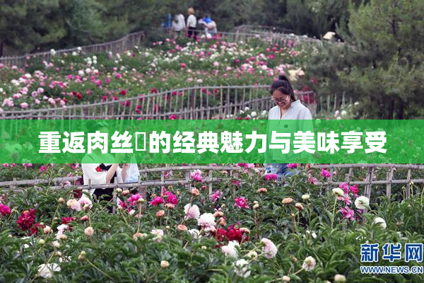 重返肉丝祙的经典魅力与美味享受