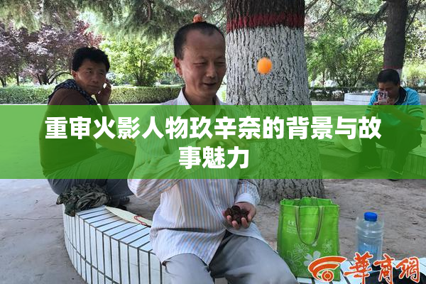 重审火影人物玖辛奈的背景与故事魅力