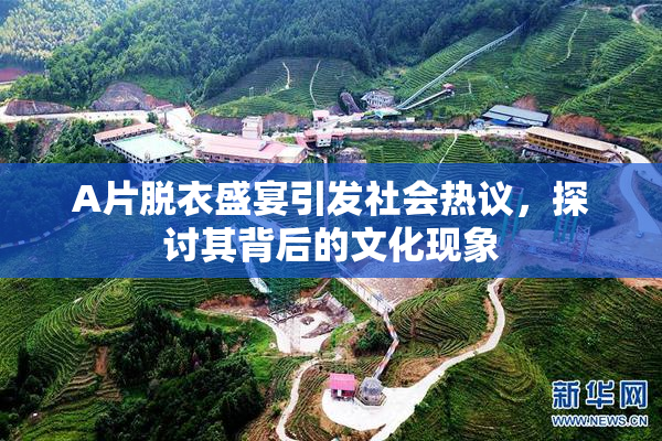 A片脱衣盛宴引发社会热议，探讨其背后的文化现象