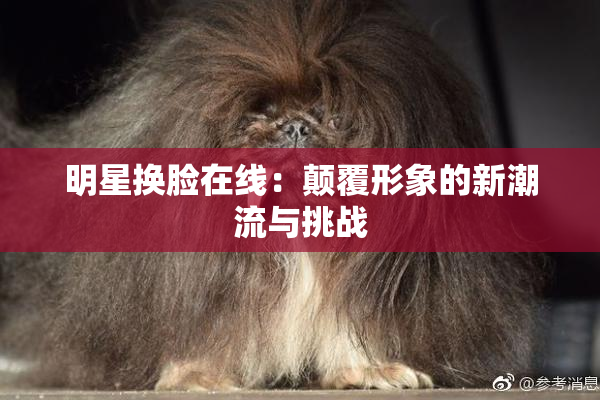 明星换脸在线：颠覆形象的新潮流与挑战