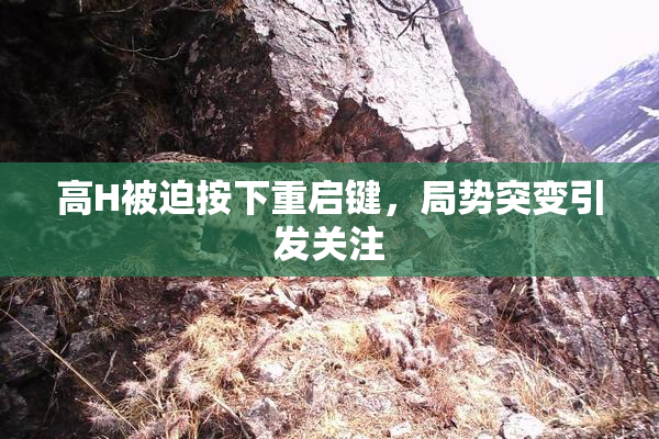 高H被迫按下重启键，局势突变引发关注