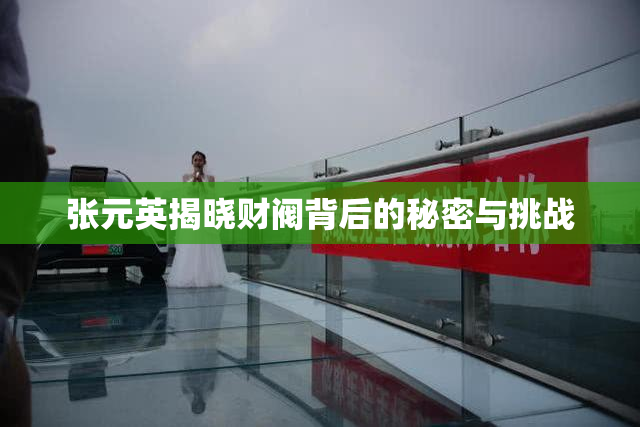张元英揭晓财阀背后的秘密与挑战