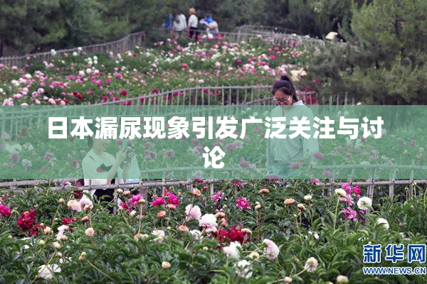 日本漏尿现象引发广泛关注与讨论