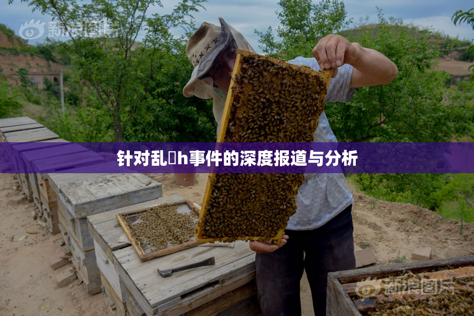 针对乱婬h事件的深度报道与分析