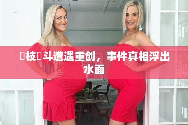 狛枝凪斗遭遇重创，事件真相浮出水面