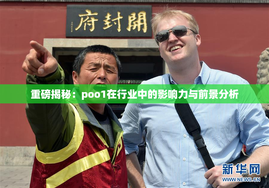 重磅揭秘：poo1在行业中的影响力与前景分析